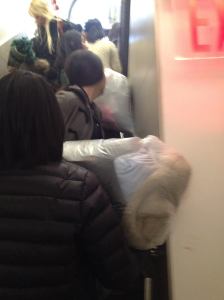 1498027_441999255927680_1508661570_o